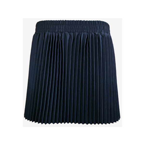 Black Mini Skirt - Pleated w/ Elasticated Back Waist Band