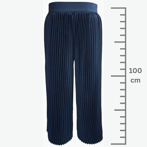 Black Pleated Pants w/ Elasticated Back